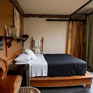 ** Otel Bufo Alvarius Meksika